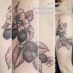 blackberry sprig by tanya magdalena